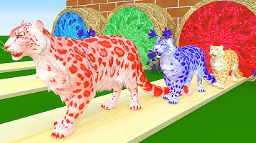 Con Hươu Cao Cổ | Nhạc Thiếu Nhi Sôi Động | Nhạc Thiếu Nhi Cho Bé Xem Vui Nhộn | Nursery Rhymes