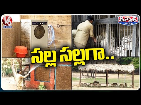 Nehru Zoological Park Officials Sprinkling Water To Animals Amid Heat Waves | V6 Teenmaar - V6NEWSTELUGU