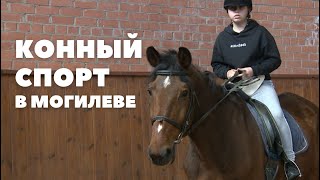 Конный спорт в Могилеве