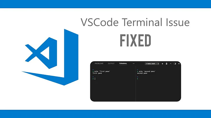 VSCode terminal issue fix