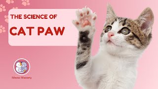 The Science of Cat Paws: Unlocking the Secrets by Meow Mastery 12 views 2 months ago 4 minutes, 57 seconds