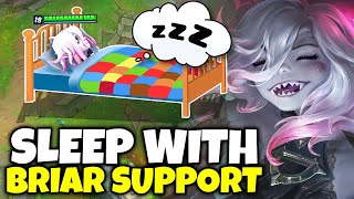 3 hours of chaotic Briar Support gameplay to fall asleep to