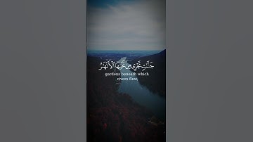 والمؤمنون والمؤمنات بعضهم أولياء بعض #القرآن_الكريم #سورة_التوبة #عبدالله_القرافي #تلاوات
