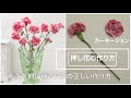 √画像をダウンロード 押し花 の 作り方 バラ 194415