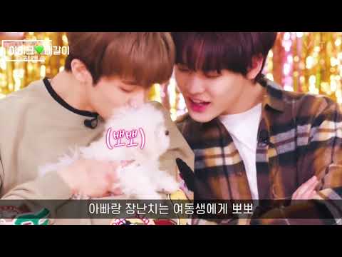 이마크 설렘모먼트(feat.🐬’s 🐶)