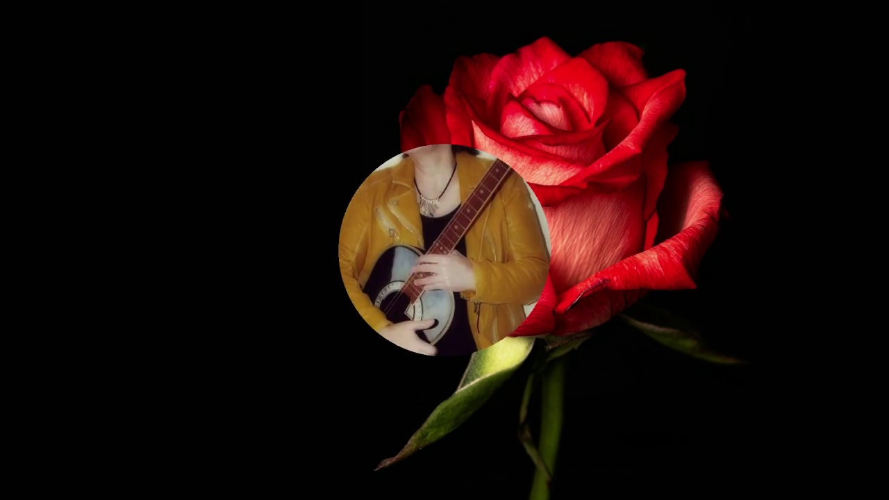 Fenn Live bed of roses live-live opname