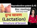 Reproductive system (L-6), physiology of lactation in hindi, structure of breast, bsc 2nd year zoolo