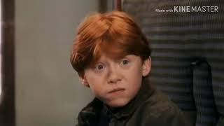 Hermione trolls Ron Weasley's Sunshine Dasies spell