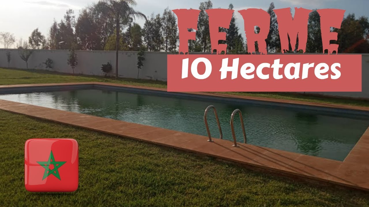 Ferme 10 Hectares a vendre Maroc Region de Meknes - مز عة للبيع 10 هكتارات بالمغرب نواحي مكناس