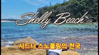 시드니 최고의 스노클링비치 Shelly Beach