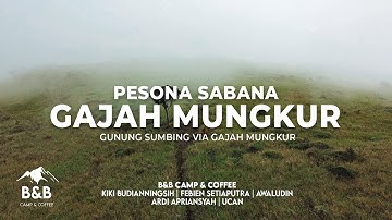 SUMBING VIA GAJAH MUNGKUR | REVIEW JALUR TERBARU #PART1