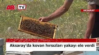 Aksaray'da kovan hırsızları yakayı ele  verdi!