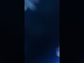 Insane Event #trending #viral #fifa 23