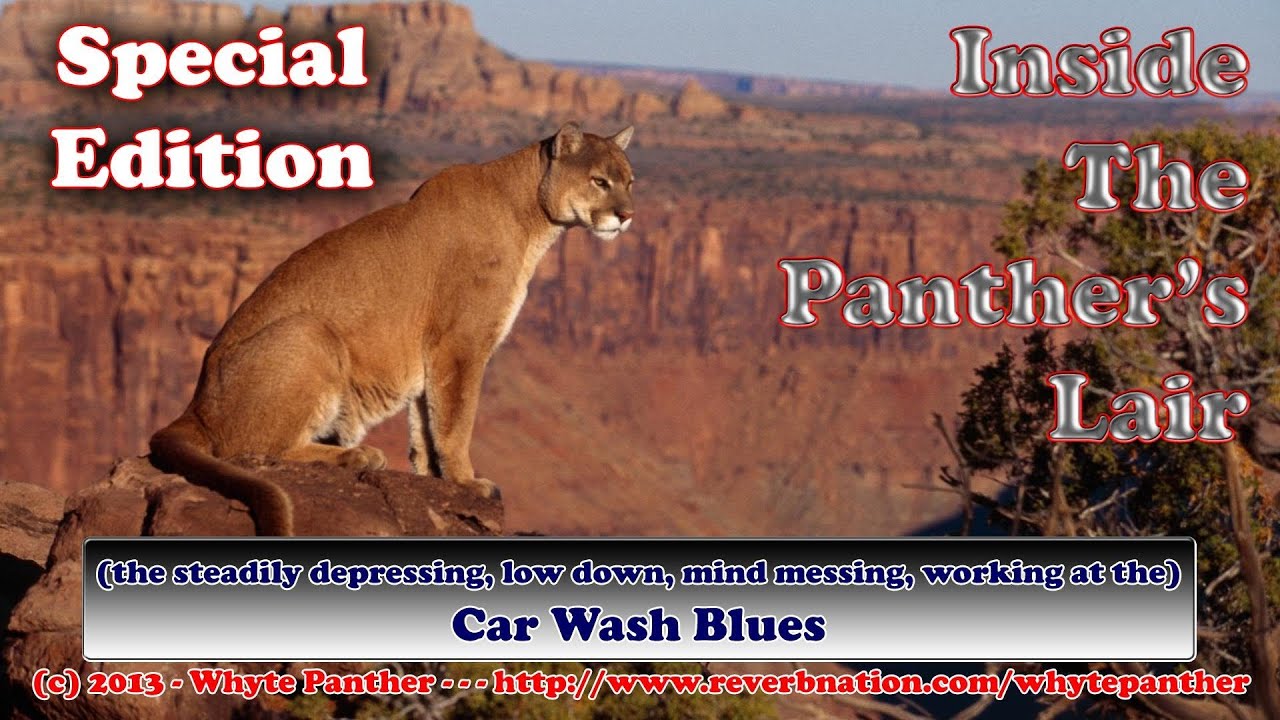 Inside The Panther's Lair -Sp. Ed.- Jim Croce's Car Wash Blues