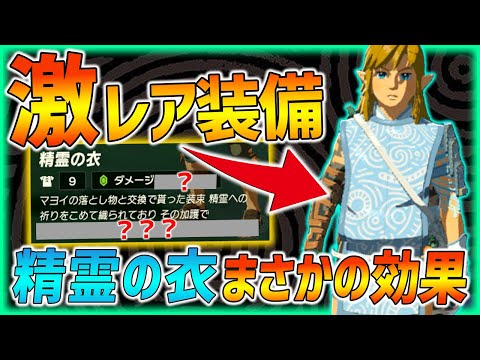 【ティアキン】激レア装備「精霊の衣」がまさかの効果!!効果検証＆入手方法紹介！【ティアーズオブザキングダム 攻略】