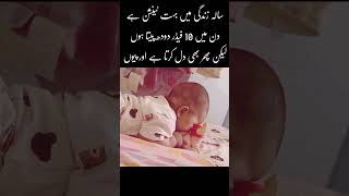 Life not stand with me!#geonews​ #funny​ #cat​ #motivation​ #baby​ #kidz​ #kidzworld​ #helping​ ​