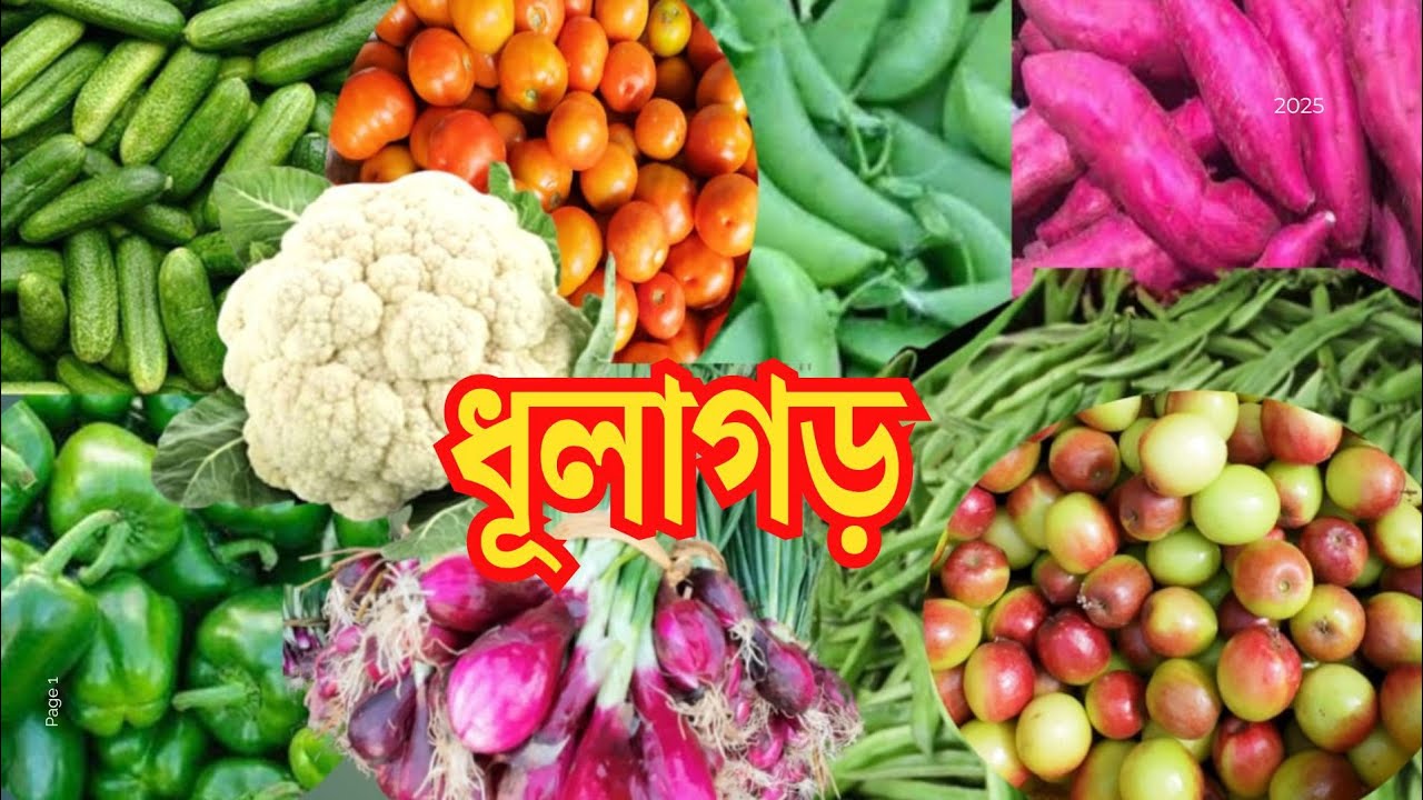 ধুলাগড় পাইকারি বাজারে সবজির দাম | Dhulagarh Vegetable Market | Dhulagarh Sabji Mandi | Vegetable |