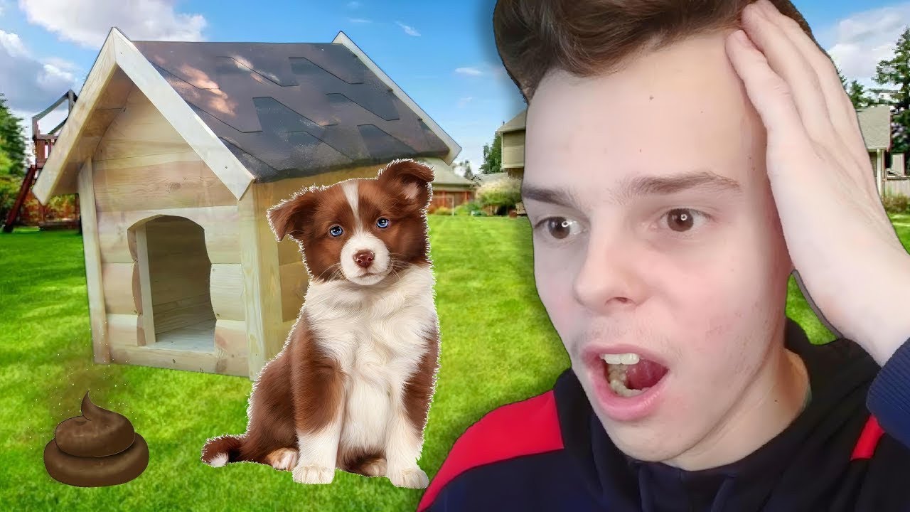 У меня появился первый питомец! - YouTube