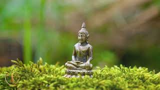 Sleep music to help you drift off into a peaceful slumber 🌿