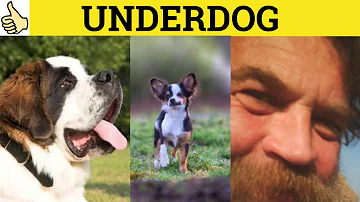 What does it mean to be called an underdog?