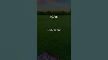 سوره الضحى بصوت جميل