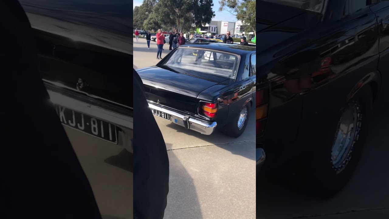 Tough XW Falcon