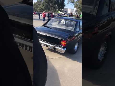 Tough XW Falcon
