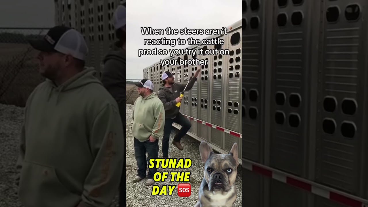 ⚠️Почему тупицы и скотские 🐄 проды несовместимы 🆘😳😱 