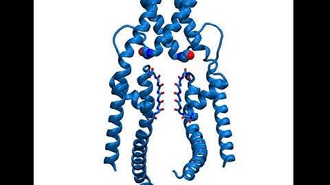 Activation of the TRAAK K2P channel