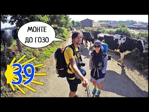 Video: Šel Jsem Do Camino De Santiago S úzkostí. Proto Je To Dobrý Nápad