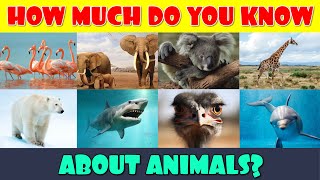 How Much Do You Know About Animals?