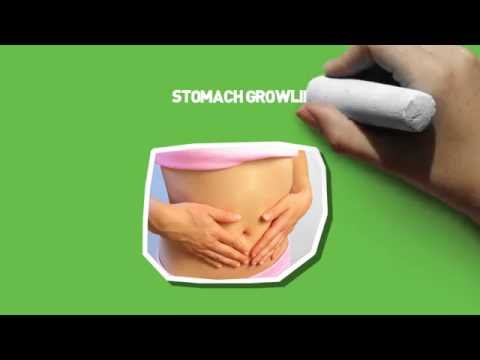 Bootea weight loss bundle picture 4