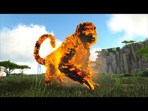 Nay mình Stream bù buổi trưa nha ^^