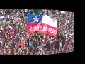 Chile despert  gonzalo ferrer  amar azul