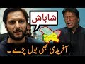 Shahid Afridi Praising PM Imran Khan On His Effort After Article 370 |  |AA NEWS NETWORK | #AANEWSNETWORK