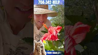 Powers Law Firm | Garden Update #lawyerlife