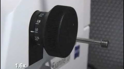 Paired patch clamp recordings from motor neurons of skeletal muscle in zebrafish