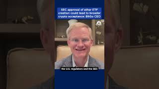 SEC allowing the creation of ether ETFs could pave the way for global crypto acceptance, says CEO