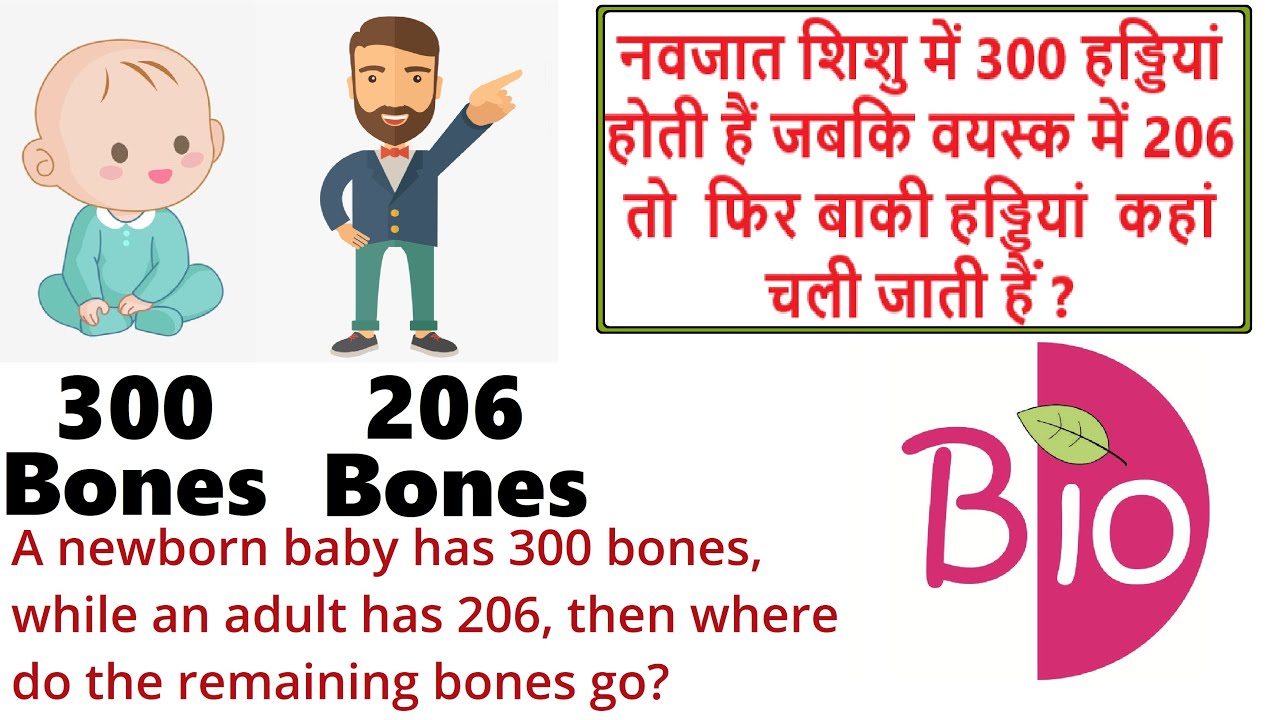 Babies Have 300 Bones While Adults Have 206 How By Simply The Best Babies have 300 bones while adults have 206 how by simply the best