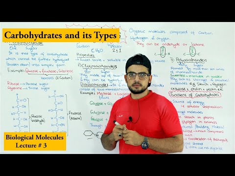 Carbohydrates | A type of biological molecule | Functions and Classification