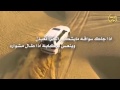 شيلة شرد الصيد كلمات بن فطيس واداء عايض المسردي شيلة شرد الصيد كلمات بن فطيس واداء عايض المسردي