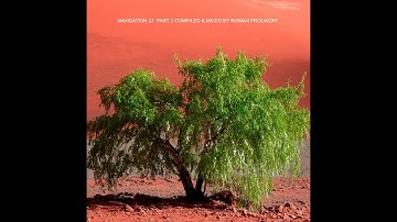 NAVIGATION 12 Part 2 compiled & mixed by Roman Frolikoff