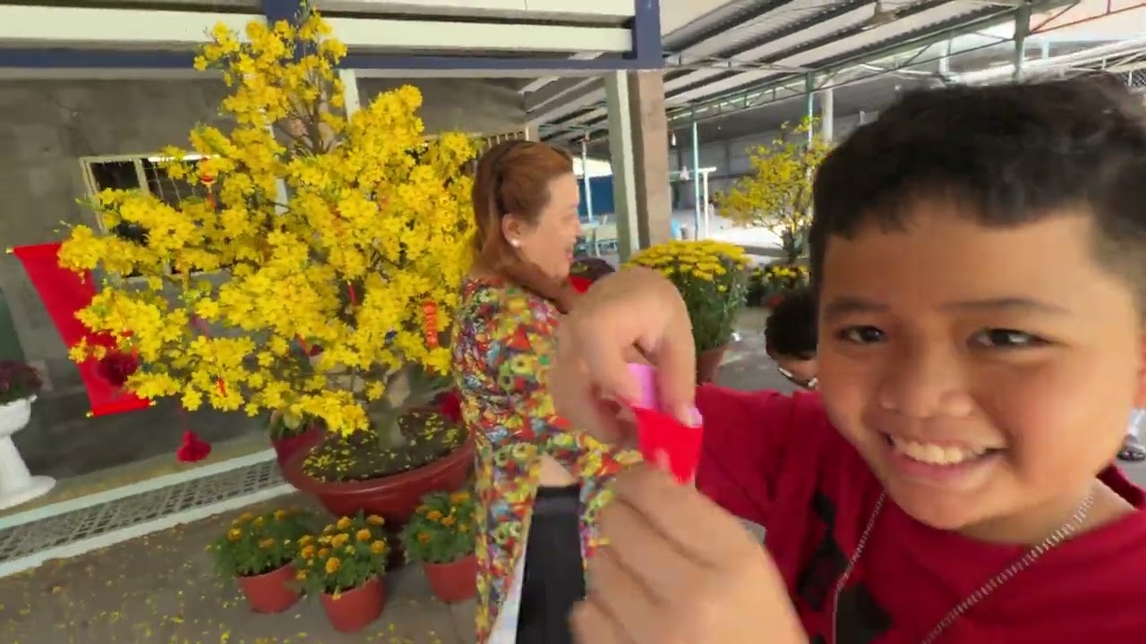 Hi 🌸 2️⃣0️⃣2️⃣6️⃣