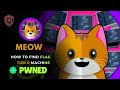 Meow - Hack The Box | Walkthrough | Complete Guide 