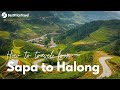 Sapa to halong bay 3 best way to travel  bestprice travel