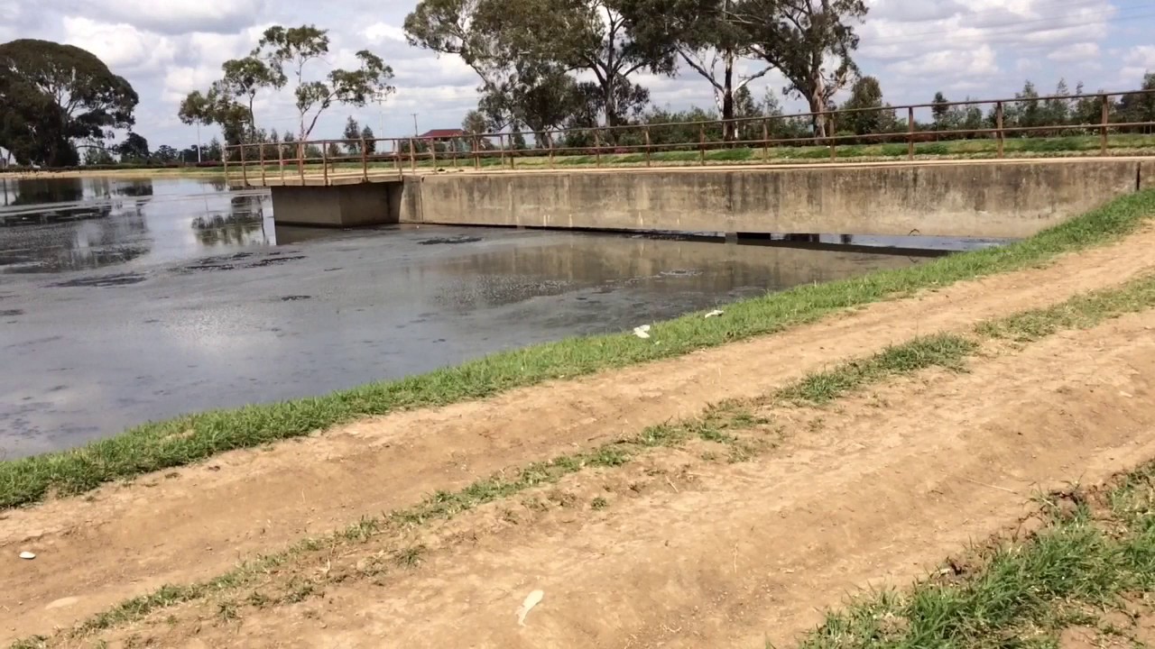 Nanyuki sewage farm YouTube