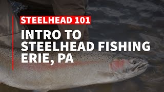 Intro to Steelhead Fishing in Erie, PA — Finding Fish, Flies, and Gear Tips