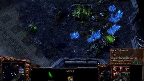 Starcraft 2 Beta--2v2 Random Match.