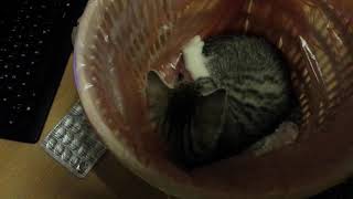 20150912 195232
