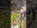 it's really amazing #shortvideo #shorts